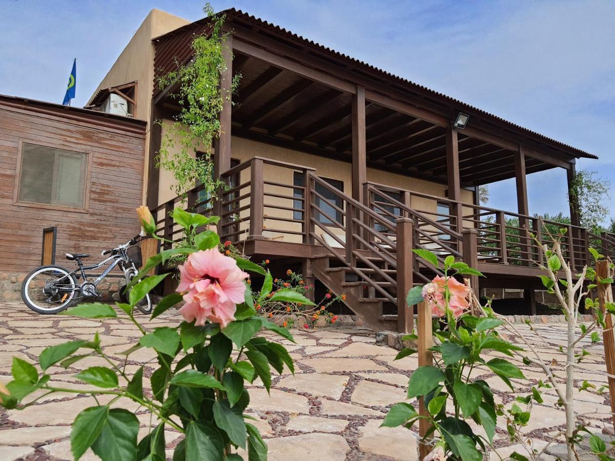 The Wind Farm Villa Dahab Eksteriør billede